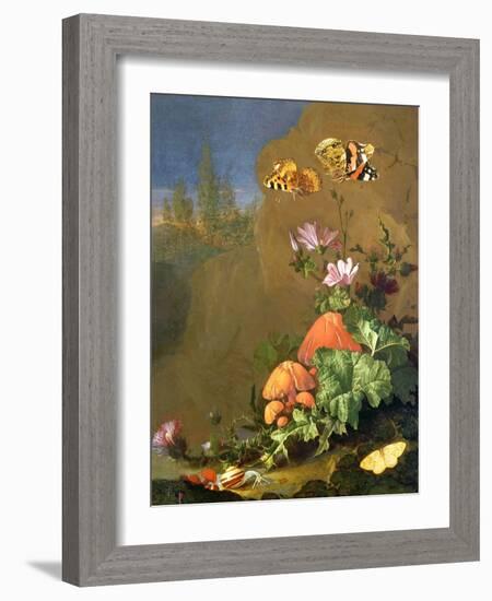 Still Life of Forest Floor with Flowers, Mushrooms and Snails-Elias Van Den Broeck-Framed Giclee Print