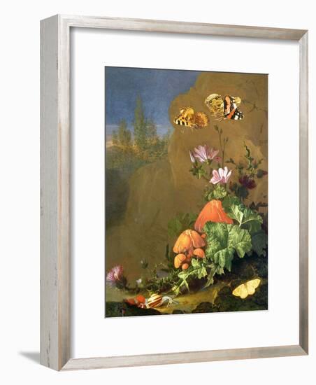 Still Life of Forest Floor with Flowers, Mushrooms and Snails-Elias Van Den Broeck-Framed Giclee Print