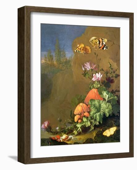 Still Life of Forest Floor with Flowers, Mushrooms and Snails-Elias Van Den Broeck-Framed Giclee Print