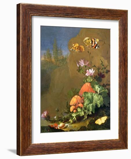 Still Life of Forest Floor with Flowers, Mushrooms and Snails-Elias Van Den Broeck-Framed Giclee Print