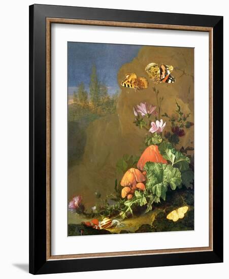 Still Life of Forest Floor with Flowers, Mushrooms and Snails-Elias Van Den Broeck-Framed Giclee Print