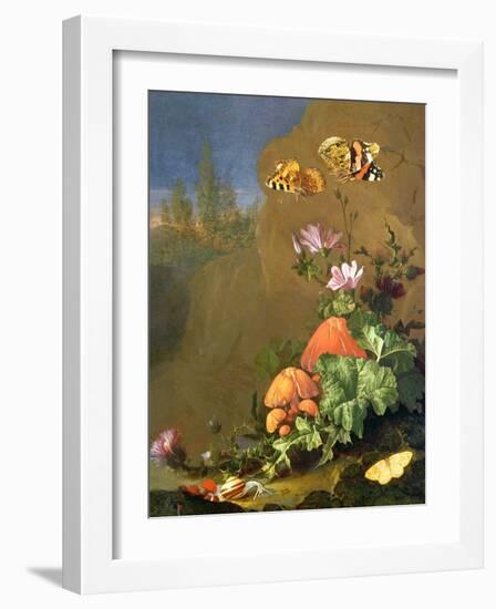 Still Life of Forest Floor with Flowers, Mushrooms and Snails-Elias Van Den Broeck-Framed Giclee Print