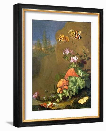 Still Life of Forest Floor with Flowers, Mushrooms and Snails-Elias Van Den Broeck-Framed Giclee Print