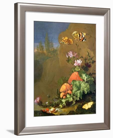 Still Life of Forest Floor with Flowers, Mushrooms and Snails-Elias Van Den Broeck-Framed Giclee Print