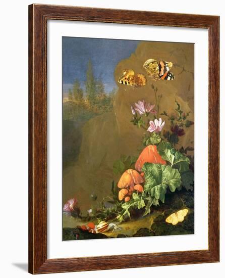 Still Life of Forest Floor with Flowers, Mushrooms and Snails-Elias Van Den Broeck-Framed Giclee Print