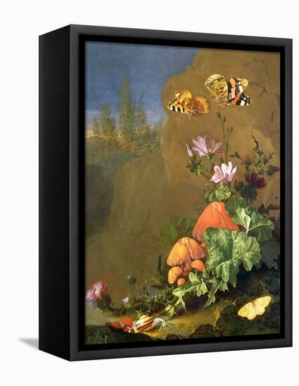 Still Life of Forest Floor with Flowers, Mushrooms and Snails-Elias Van Den Broeck-Framed Premier Image Canvas