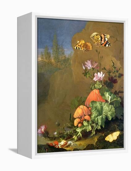 Still Life of Forest Floor with Flowers, Mushrooms and Snails-Elias Van Den Broeck-Framed Premier Image Canvas