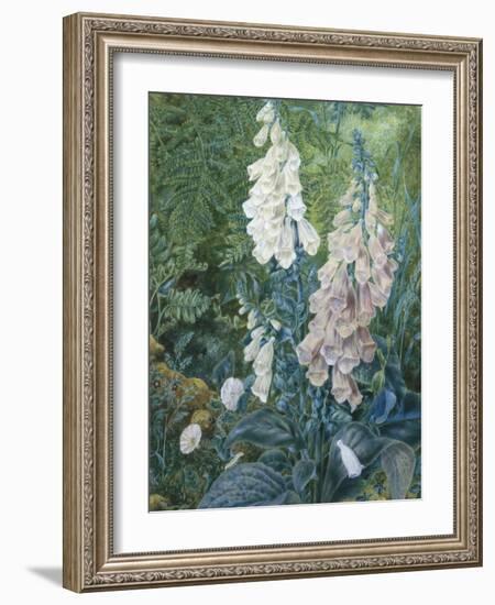 Still Life of Foxgloves-Mary Margetts-Framed Giclee Print