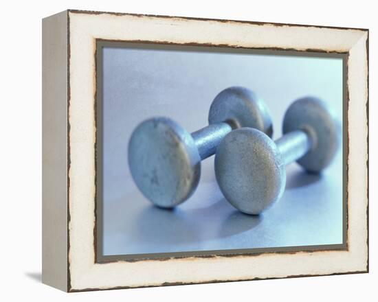 Still Life of Free Weights-Chris Trotman-Framed Premier Image Canvas