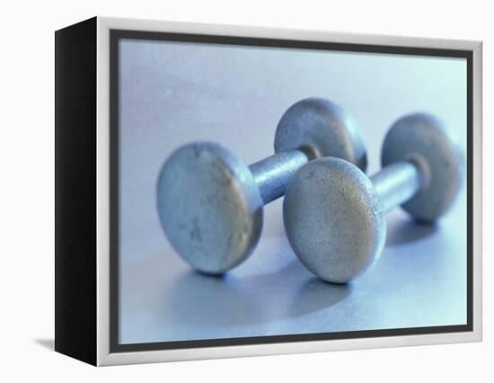 Still Life of Free Weights-Chris Trotman-Framed Premier Image Canvas