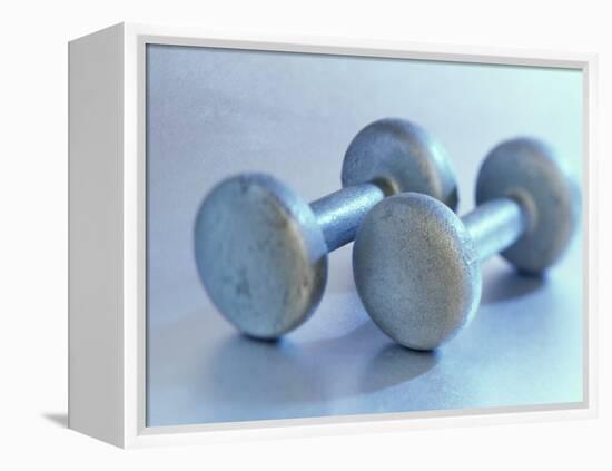 Still Life of Free Weights-Chris Trotman-Framed Premier Image Canvas