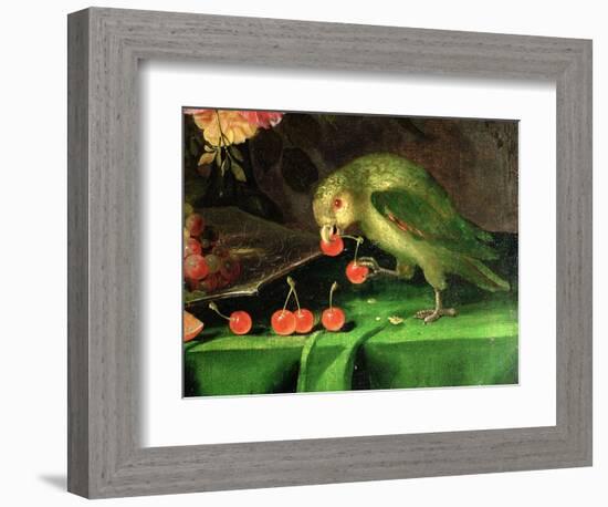 Still Life of Fruit and Flowers, Detail of a Parrot (Detail)-Jan Davidsz. de Heem-Framed Premium Giclee Print