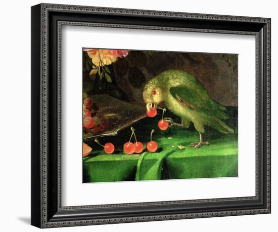 Still Life of Fruit and Flowers, Detail of a Parrot (Detail)-Jan Davidsz. de Heem-Framed Premium Giclee Print