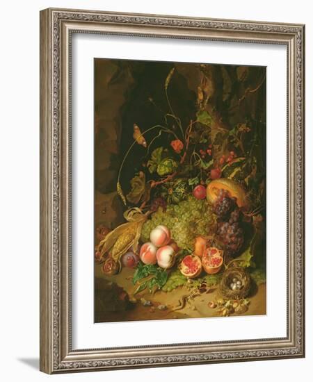 Still Life of Fruit with a Bird's Nest and Insects, 1710-Rachel Ruysch-Framed Giclee Print