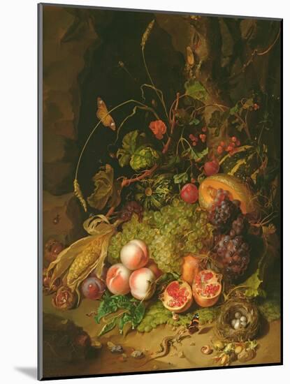 Still Life of Fruit with a Bird's Nest and Insects, 1710-Rachel Ruysch-Mounted Giclee Print