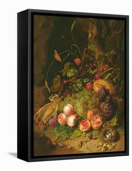 Still Life of Fruit with a Bird's Nest and Insects, 1710-Rachel Ruysch-Framed Premier Image Canvas