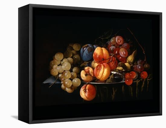 Still Life of Fruit-Cornelis De Heem-Framed Premier Image Canvas