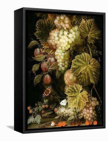 Still Life of Grapes and Vines, 1666-Ottmar the Elder Elliger-Framed Premier Image Canvas