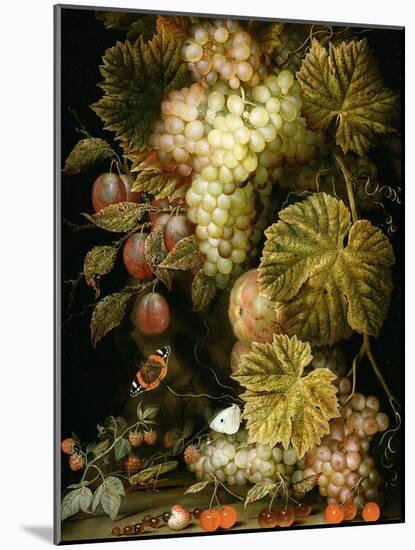 Still Life of Grapes and Vines, 1666-Ottmar the Elder Elliger-Mounted Giclee Print