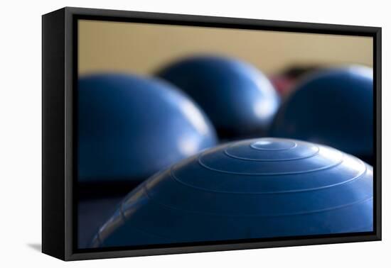 Still Life of Gym Exercise Ball-Matt Freedman-Framed Premier Image Canvas