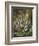 Still Life of Heather and Butterflies-Albert Lucas-Framed Giclee Print