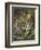 Still Life of Heather and Butterflies-Albert Lucas-Framed Giclee Print