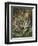 Still Life of Heather and Butterflies-Albert Lucas-Framed Giclee Print