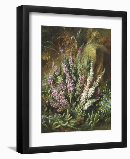 Still Life of Heather and Butterflies-Albert Lucas-Framed Giclee Print