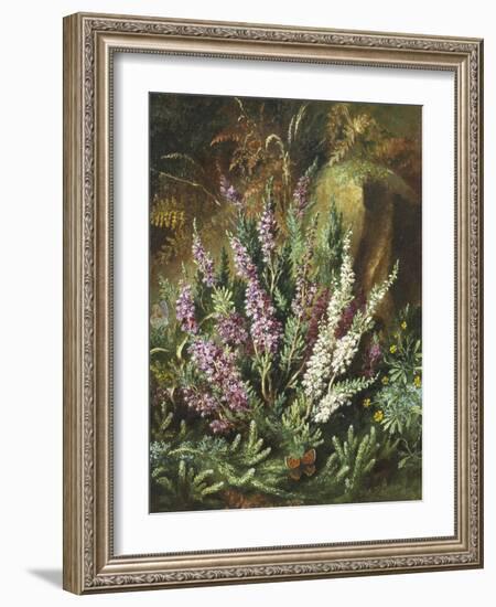 Still Life of Heather and Butterflies-Albert Lucas-Framed Giclee Print