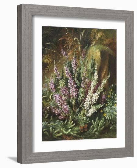 Still Life of Heather and Butterflies-Albert Lucas-Framed Giclee Print