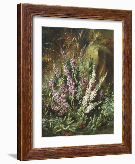 Still Life of Heather and Butterflies-Albert Lucas-Framed Giclee Print