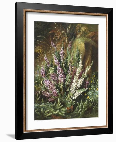 Still Life of Heather and Butterflies-Albert Lucas-Framed Giclee Print