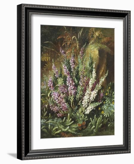 Still Life of Heather and Butterflies-Albert Lucas-Framed Giclee Print