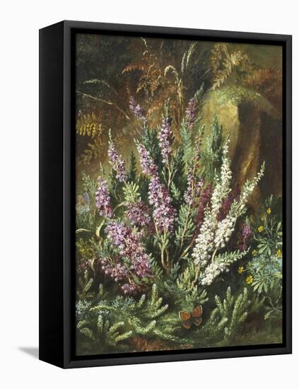 Still Life of Heather and Butterflies-Albert Lucas-Framed Premier Image Canvas