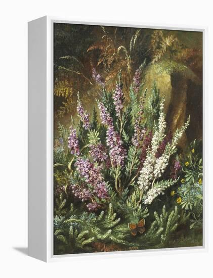 Still Life of Heather and Butterflies-Albert Lucas-Framed Premier Image Canvas