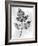 Still Life of Leaf, 1844-null-Framed Photographic Print