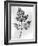 Still Life of Leaf, 1844-null-Framed Photographic Print