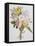 Still Life of Lilacs, Roses, Buttercups and Lilies of the Valley by Jean Louis Prevost-Bettmann-Framed Premier Image Canvas