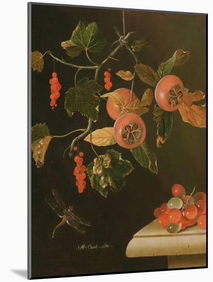 Still Life of Medlars, Redcurrants, Grapes and a Dragonfly, 1686-Adrian Coorte-Mounted Giclee Print