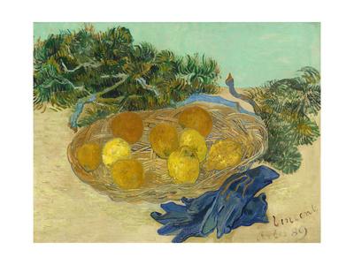 Still Life Of Oranges And Lemons With Blue Gloves 18 Giclee Print Vincent Van Gogh Art Com