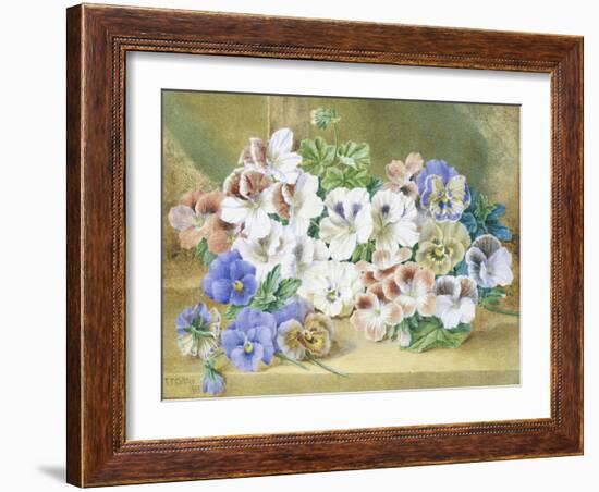 Still Life of Pansies and Pelargoniums-Thomas Collier-Framed Giclee Print