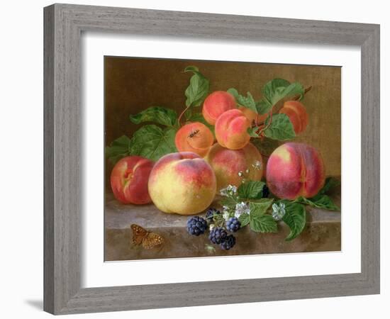 Still Life of Peaches-Henriette Ronner-Knip-Framed Giclee Print