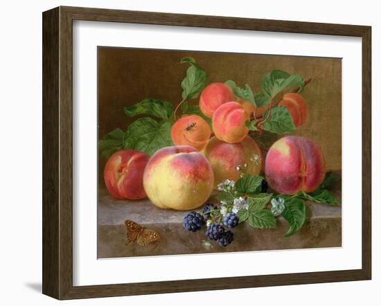 Still Life of Peaches-Henriette Ronner-Knip-Framed Giclee Print