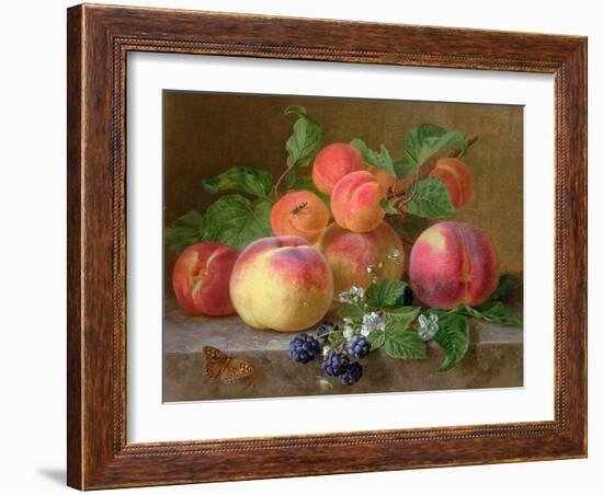 Still Life of Peaches-Henriette Ronner-Knip-Framed Giclee Print