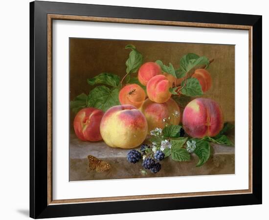 Still Life of Peaches-Henriette Ronner-Knip-Framed Giclee Print