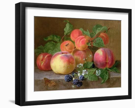 Still Life of Peaches-Henriette Ronner-Knip-Framed Giclee Print