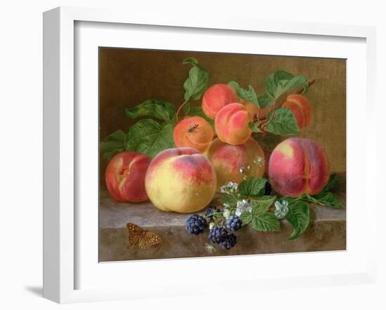 Still Life of Peaches-Henriette Ronner-Knip-Framed Giclee Print