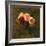 Still Life of Pink and Red Roses, 19th Century-Henri Fantin-Latour-Framed Giclee Print