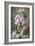 Still Life of Pink Roses in a Glass Vase-Frans Mortelmans-Framed Giclee Print