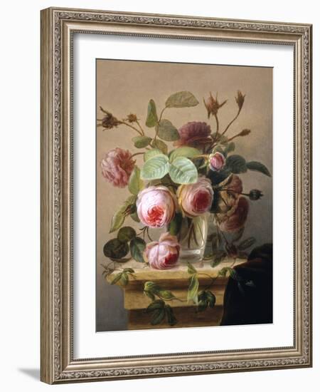 Still Life of Pink Roses in a Glass Vase-Hans Hermann-Framed Giclee Print